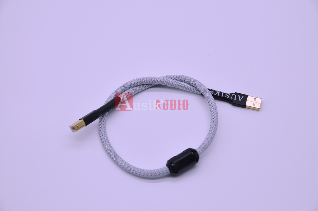 Cavo audio HiFi USB 2.0 tipo A a B/cavo audio Canare Cavo dati USB per PC MP3 CD DVD Amplificatore DAC