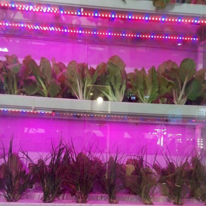 LED Grow Light Volledige Spectrum waterdichte USB LED Strip Verlichting 5050 60 LEDs Phyto Lampen Voor Kas Hydrocultuur Plant Groeit