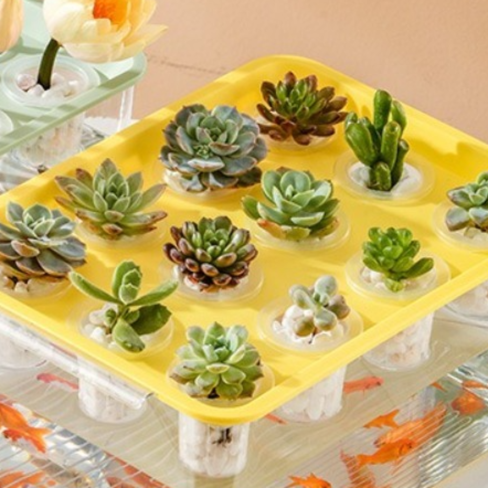 Transparent Hydroponic Grow Fish Tank Self-Cleaning Healthy Environment Planting Container Soilless Cultivation