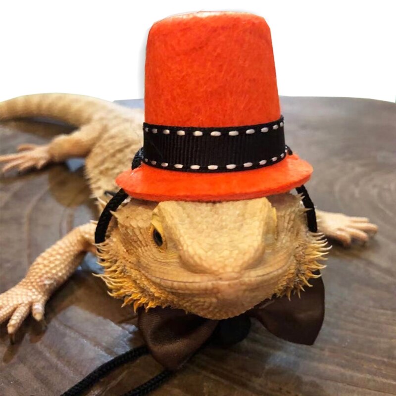 Arnés de Dragón Barbudo y correa de 2 colores, sombrero de mago, pajarita, correa ajustable de cuero para reptiles con ala para Animal PEQUEÑO