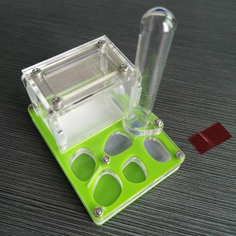 Green Plane Ant Nest Acrylic Ant Small Community Terrarium Ants Farm House With Water Tower: Default Title