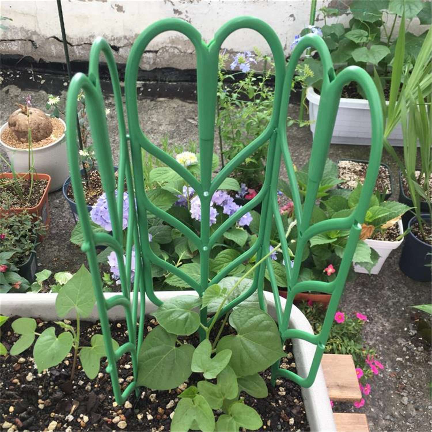 Enrejados de jardín Diy para plantas trepadoras, enredaderas en maceta, verduras, flores, paneles de rejilla de alambre para Patio, hiedra de 14 pulgadas X4