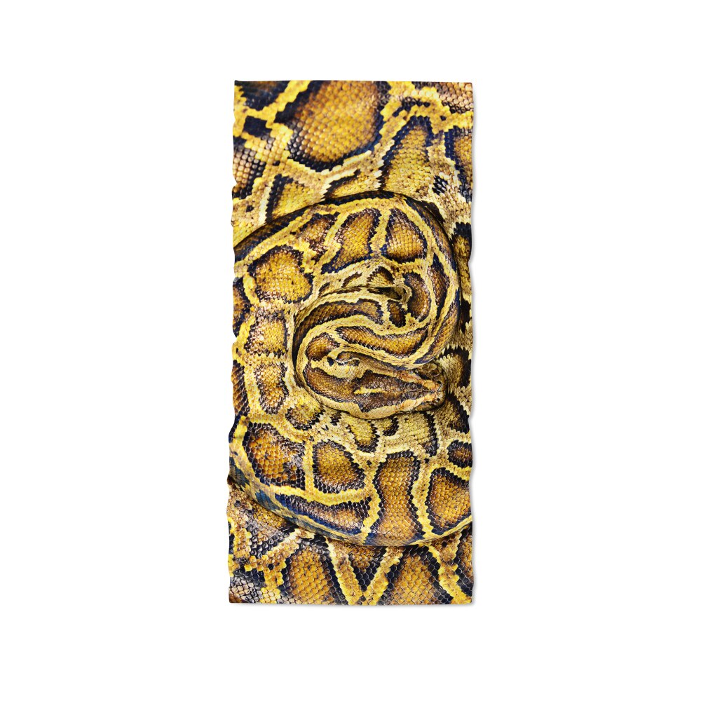 Bandana extérieur hommes femmes 3D Animal impression escalade randonnée cyclisme pêche coupe-vent bandeau Halloween magique Bandana: Style9