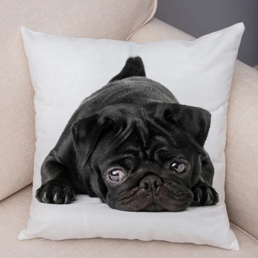 Cute Pug Dog Cushion Cover Both Sided Print Decor Pet Animal Pillowcase for Car Sofa Home Car Soft Plush Throw Pillow Case