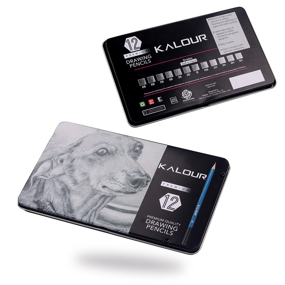 Sketching Graphite Pencils with 12 Different Hardness for Beginner and Artist with Iron Box Student