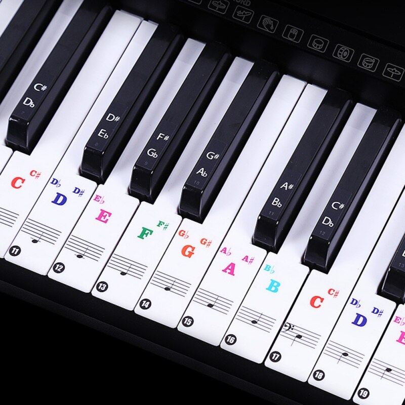 88/61 Key Color Piano Letter Notes Stickers Keyboard Hand Roll Piano Keyboard Transparent Stickers Notation Transparent: Default Title