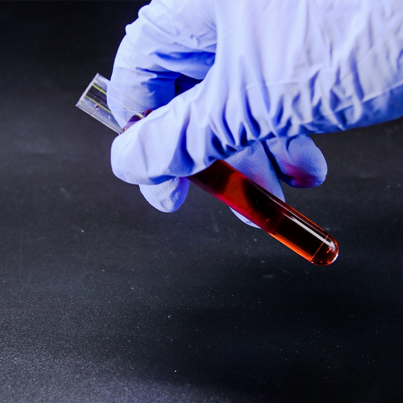 Plastic Test Tube 12×100mm Laboratory Clear Test Tubes Vials With Push Caps 10PCS