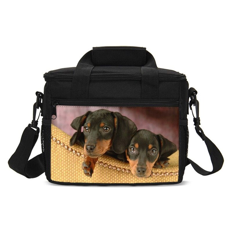 Animal Print Dachshund Sausage Dog Kawaii Kids Cooler Bag Picnic Outside Insulated Box Women Portable Lancheira Thermo Thermal: SCBU019001GYQ