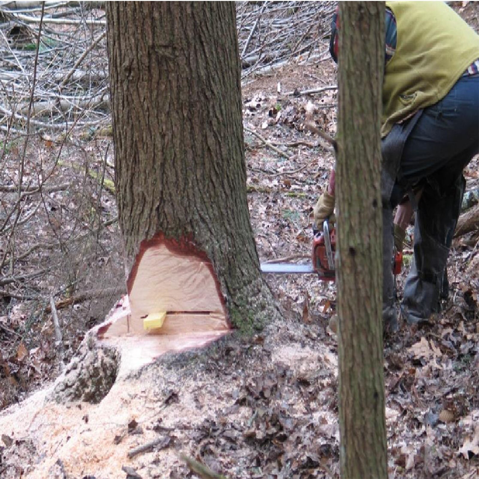 Timber Savages 1/2/3/4 Pcs Tree Felling 5Inch Wedges for Logging Falling Set SetCutting Cleaving Chainsaw Instruments