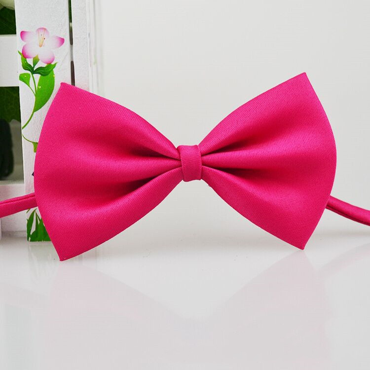 Collar con lazo ajustable para mascotas, accesorios para el cuidado de cachorros, gatos y perros, 1 piezas: Multicolor
