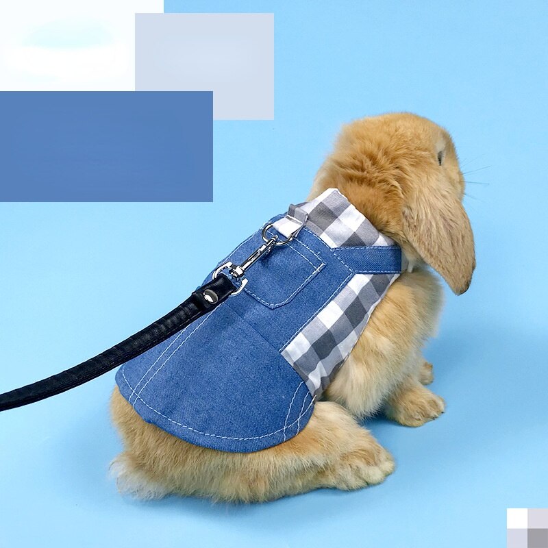 Vêtements pour animaux de compagnie lapin, harnais, laisses, cochon d&#39;inde, gilet, veste en denim, chapeau de sport, manteau pour lapin furet hamster