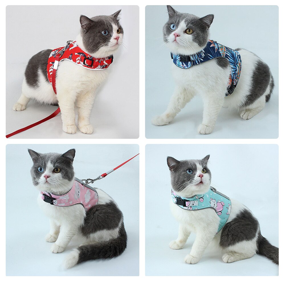 Polyester huisdier kat reflecterende mesh riem draagbare buiten huisdier kat hond wandelriem katten harnas uitschuifbare hondenriem touw