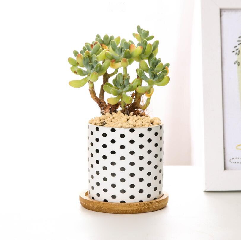 Sales Home Modern Style Desktop Flower Pot Green Plant Holder Ceramic Planter Geometric Printing Plant Pot Office Decoration: Type Four / without base