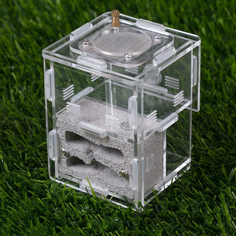 Genomskinligt myrbo husdjur myrbo gips myrfarm akryl liten loft myrstack myra 7.5 x 7.5 x 9.5cm: Vit