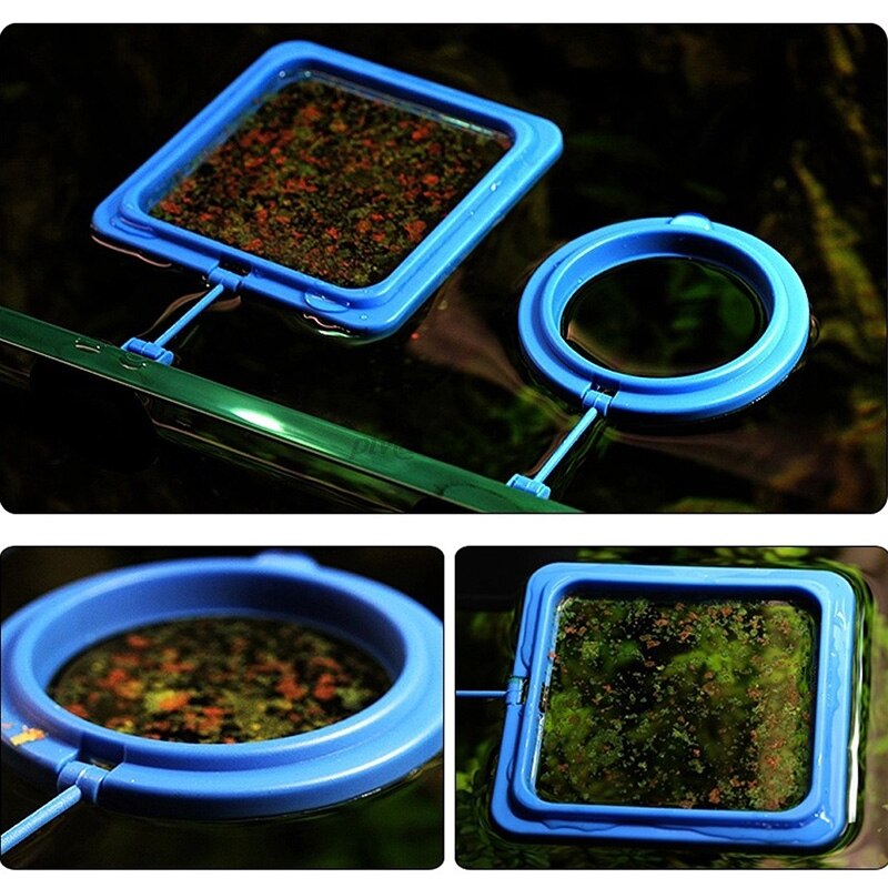 Aquarium Feeding Ring Fish Tank Station Floating Food Tary Feeder Square/Circle