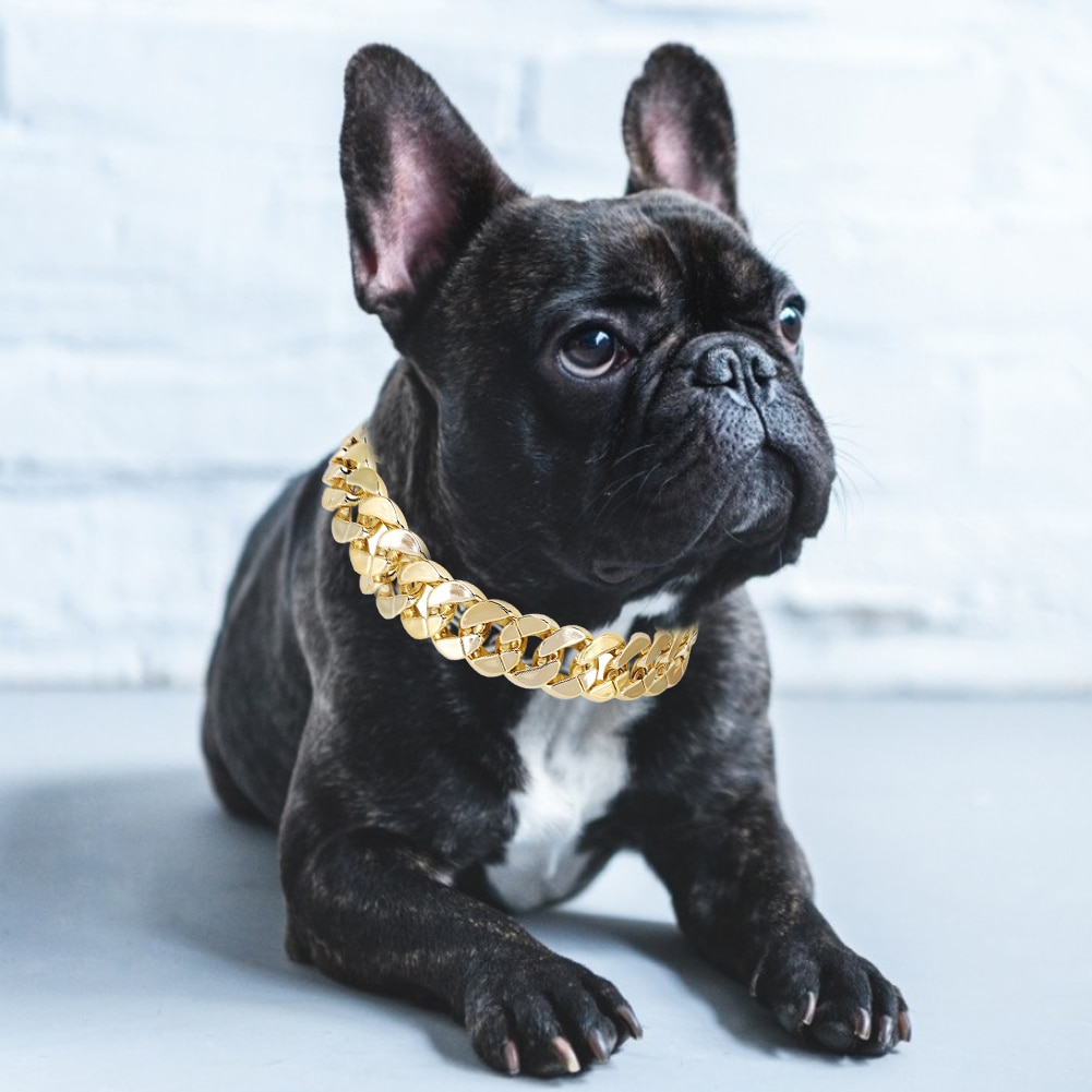 Pet Teddy French Bulldogs Bully Gold Chain Small and Medium Dog Collar Pet Necklace Accessories Pet Supplies