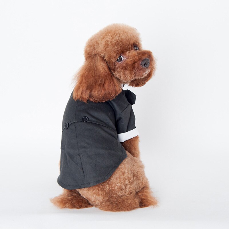 Pet hund smoking slips tøj hvalp bryllupsfest jumpsuit frakke kæledyr kostumer roupa cachorro hund smoking roupa cachorro