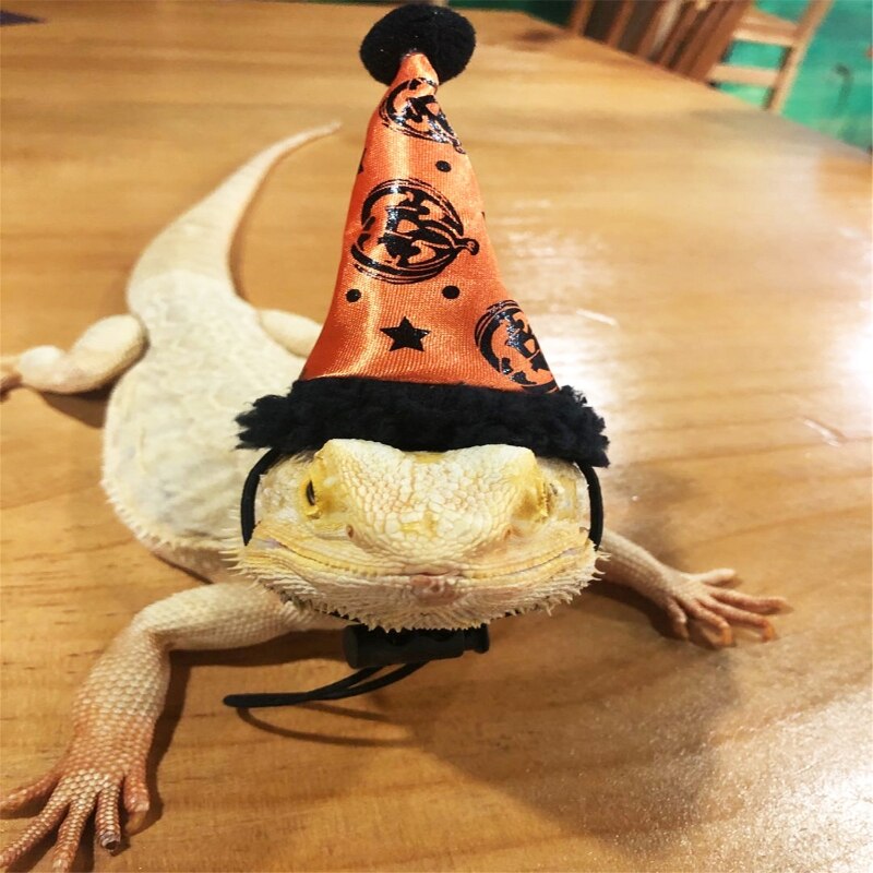Lizard Halloween Costume Set Adjustable Leather Harness with Wing Leash &amp; Hat