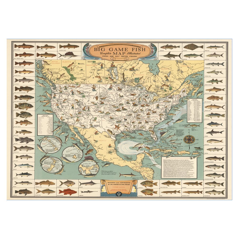 Vis Kaart Puzzel 1000 Stuks Puzzel Voor Volwassenen Kids