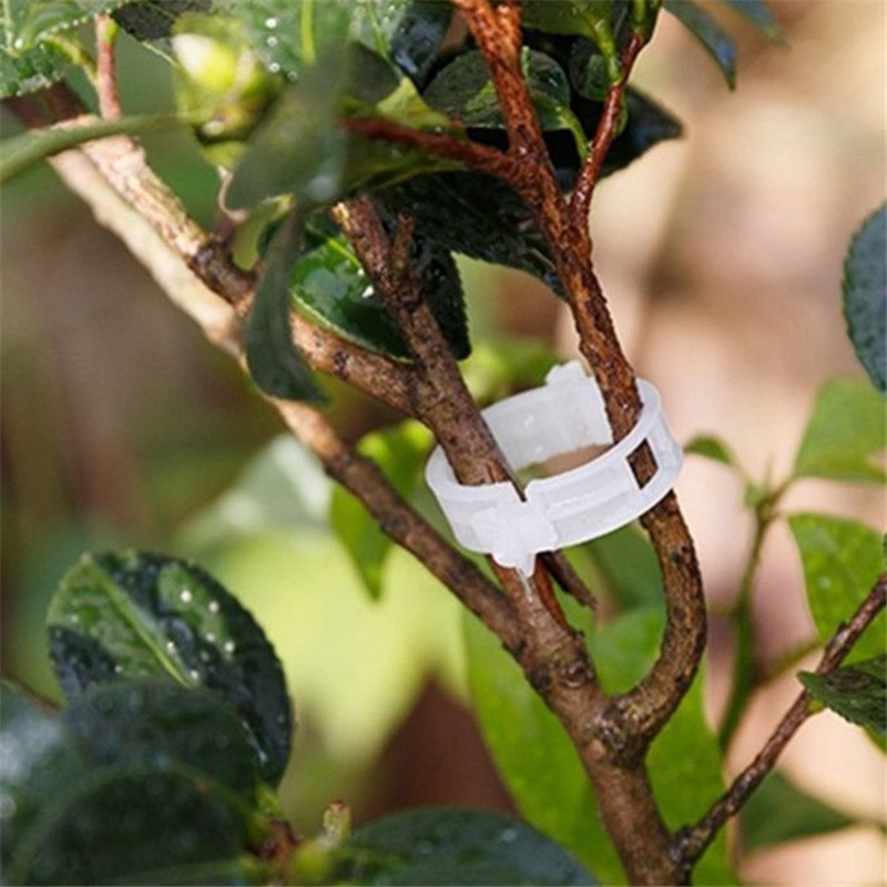 50 stk/parti genanvendelige 25mm plastik plantestøtteklemmer klemmer til planter hængende vinhave drivhusgrøntsager tomatclips