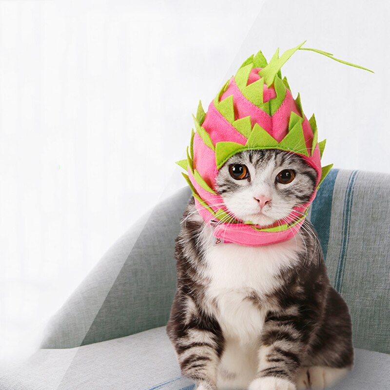 Halloween Pet Dragon Fruit Hat Costume Puppy Dog Cats Party Headwear Accessory Deco For Dogs Cats PR