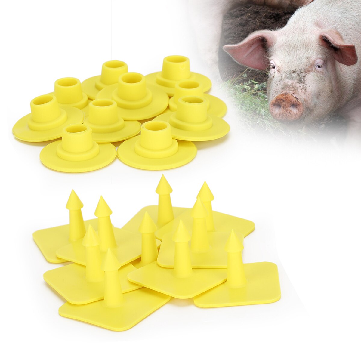 Pig Ear Tag Livestock Blank Ear Tags Farm Animal Management Identification Tag Set