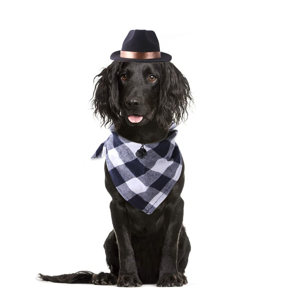 perros accesorios Sombrero de mascota divertido para perro y gato, sombrero de vaquero occidental, accesorio de foto Universal para perro, gorra para Halloween, Navidad, callejera, accesorios para mascotas: B hat scarf C