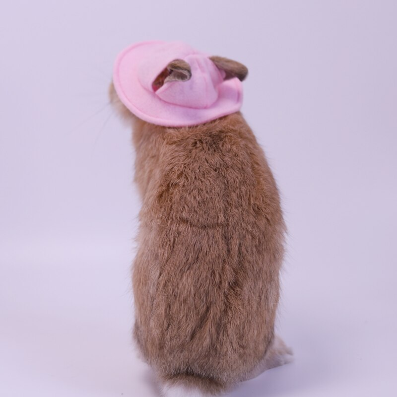 Casquette pour petits animaux, chapeau, vêtements pour animaux de compagnie, accessoires pour cochon d'inde, lapin, écureuil, Hamster, Rat, souris