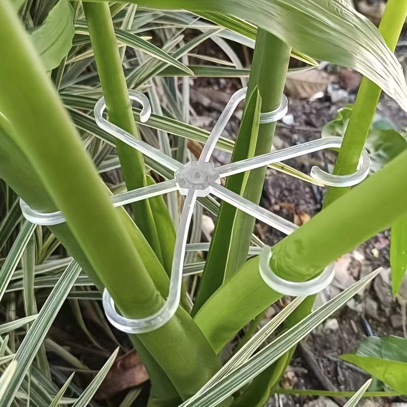 4 stuks plastic plantensteunclips, groene wijnstokklimbeugels, verstelbare tuinplantenstengelclips voor vaste en rechtopstaande groei