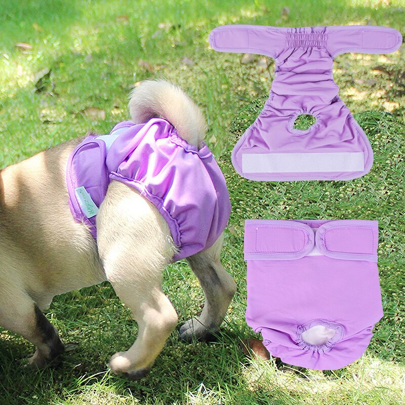 Animal de estimação calças fisiológicas para pequeno cão grande filhote de cachorro fralda macio à prova de vazamento calça lavável durável roupa interior do animal de estimação curto fralda