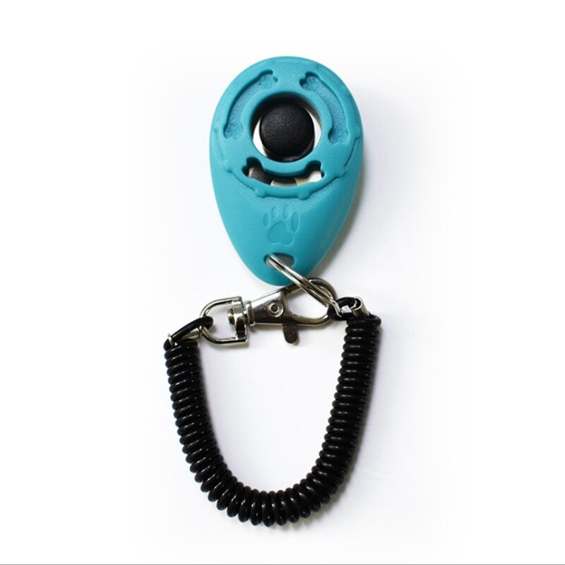 Haustier ausbildung Film katze und hund ausbildung kunststoff werkzeuge stehen-allein Trainer einstellbar Armbinde keychain Haustier Klang ausbildung: Himmel Blau