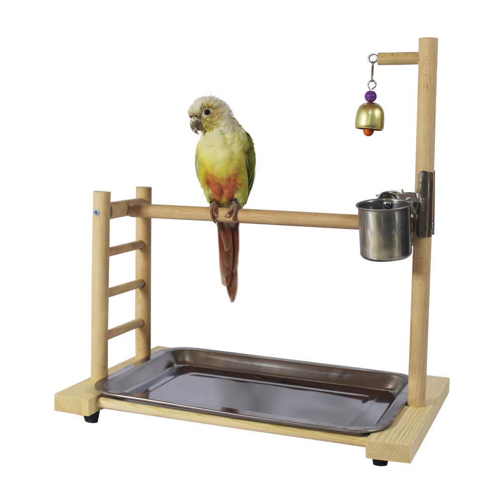 Birdcage Stands Papegaai Play Gym Hout Conure Van Speeltuin Vogelkooi Stands Accessoires Vogelhuisje Decor Tafel Top PlayStand
