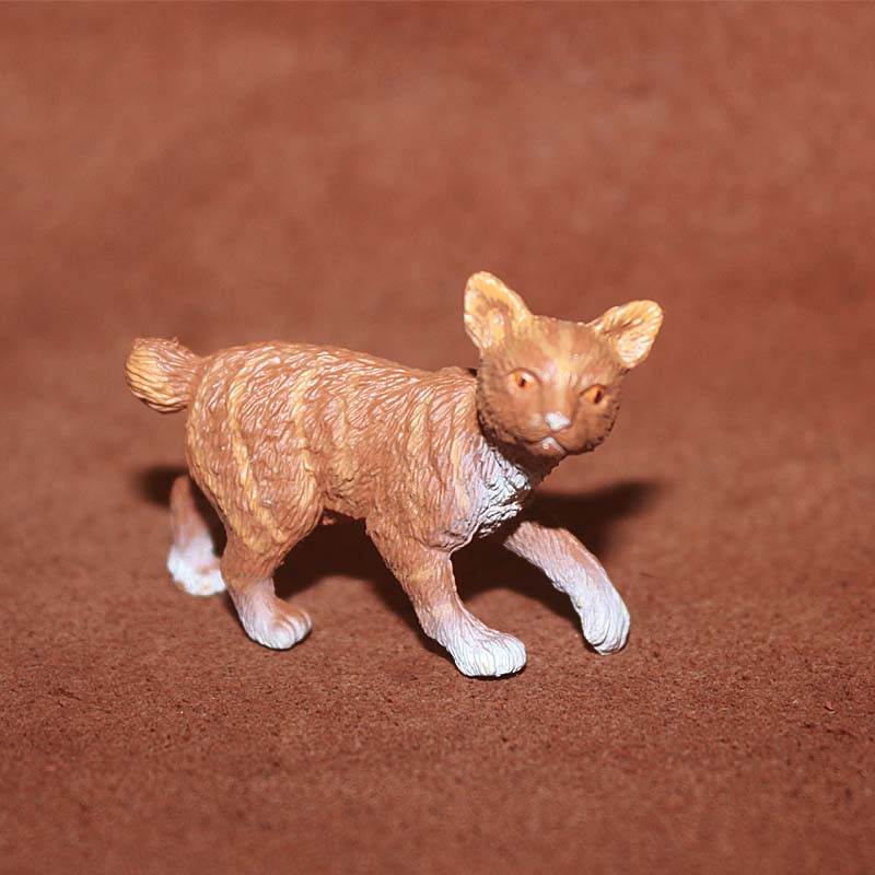 Simulation Pet Kleine Tier Katzen Modell Nette Mini Ägyptischen Mau Türkische Angora Abyssinian Miniaturen Action Figur Figuren Spielzeug: F