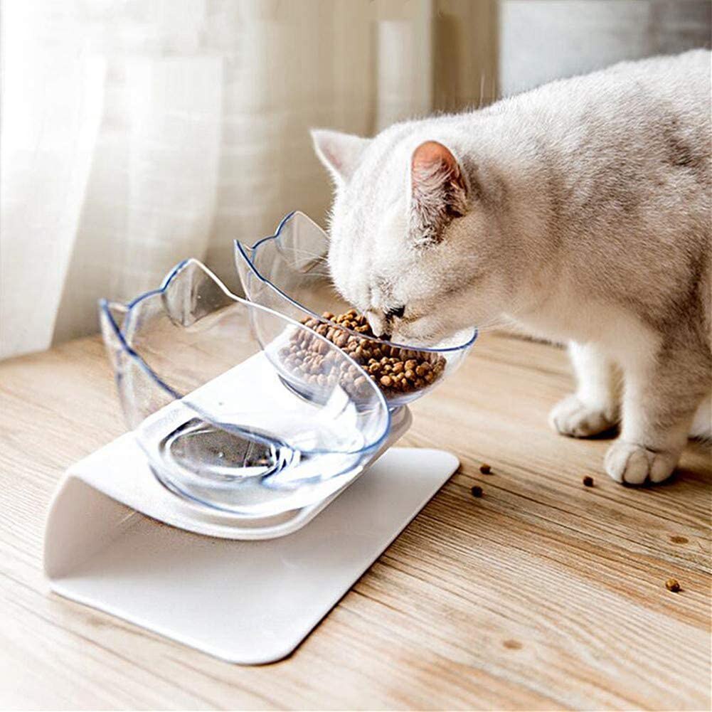 Sällskapshund katt upphöjd skål 15 ° lutande matskålar med upphöjd mat och vattenskål enkel/dubbel skål valfritt
