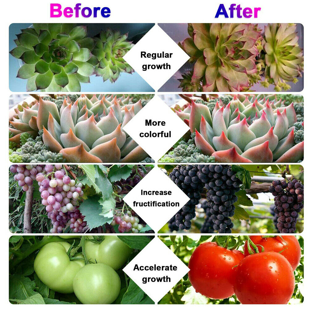 Hydroponic Timing LED Clip Growth Light Plant Lamp Full Spectrum waterproof Indoor Outdoor plant Promote growth lamp grow tent