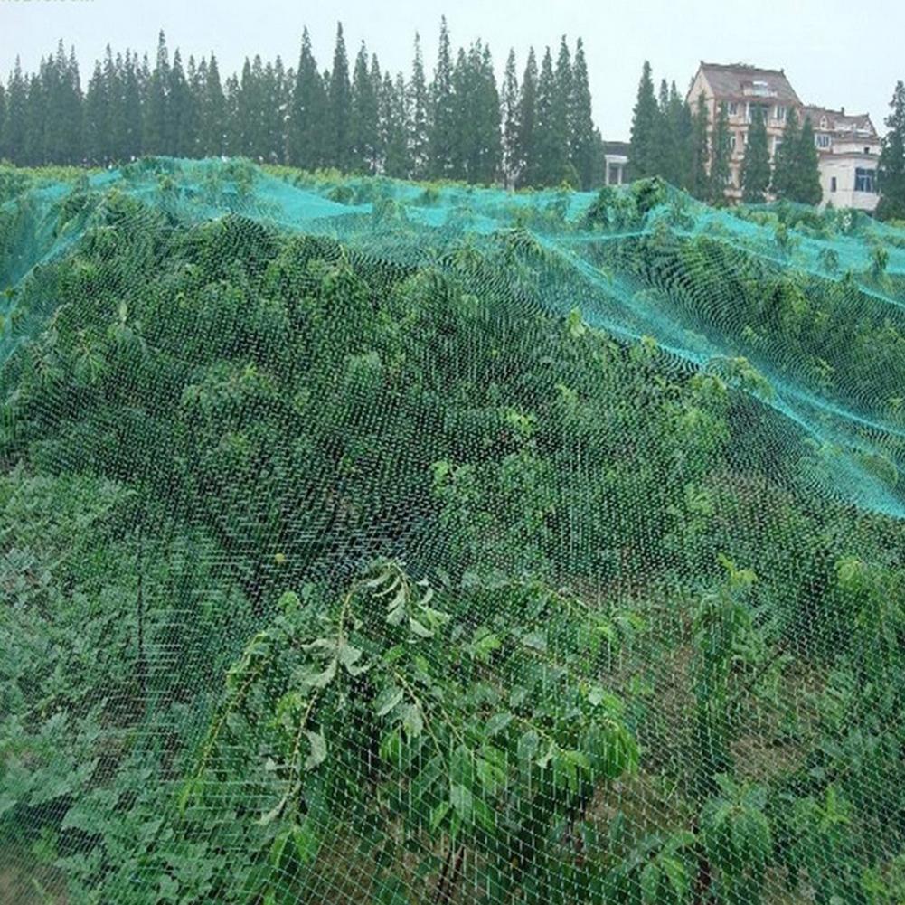 Anti Bird Protect Tree Net Fruit Crop Plant Garden Pond Cultivation Netting Mesh Portable Anti-Bird Net Convenient Durable