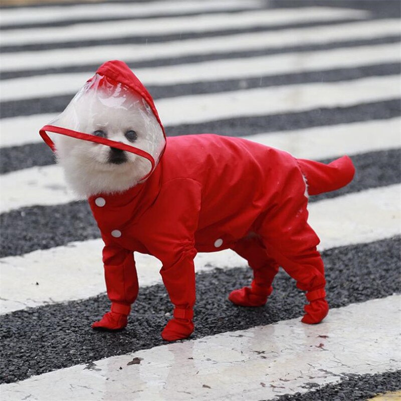 Mono impermeable para perro mascota, ropa de cuatro patas, todo incluido, impermeable, para perros pequeños, ropa para perros abrigo al aire libre, suministros para mascotas: Rojo / L