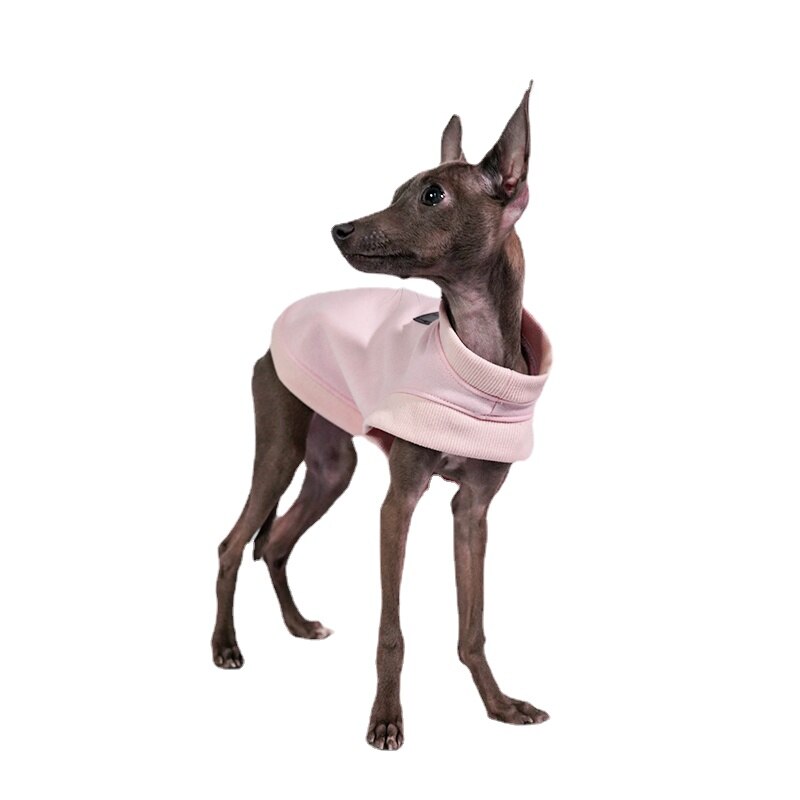 Ropa para perros pequeños, suéter de otoño e invierno cálido para lana de algodón, ropa italiana de Galgo, accesorios para perros, suministros para perros