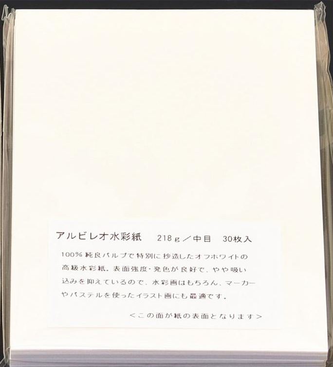 Holbein akvarell målarpappersset 300 gsm 218 gsm 80 ark japan 100 x 150mm
