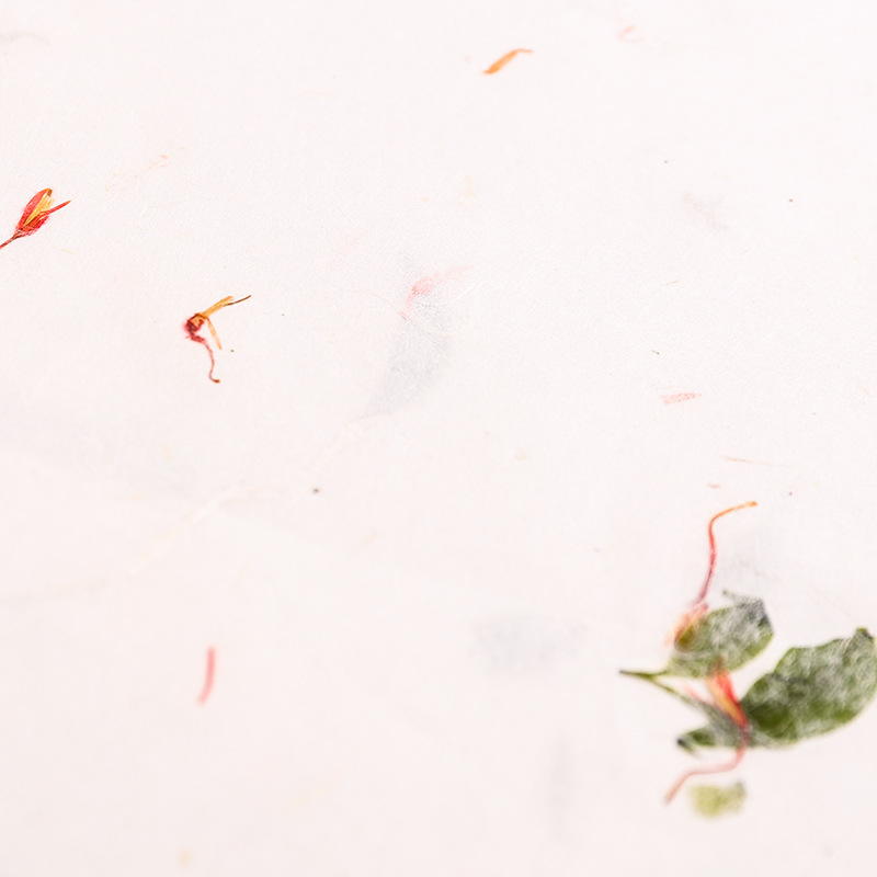Liten størrelse håndlaget kinesisk kalligrafi papirfiber xuan papir brevpapir xuan zhi håndverk papir blomster og teblader