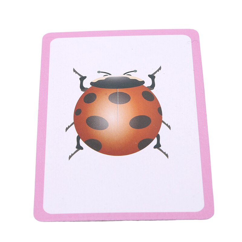 Animals Body Parts Flash Cards - 12PC English Learning Cards For Toddlers & Preschool Kids