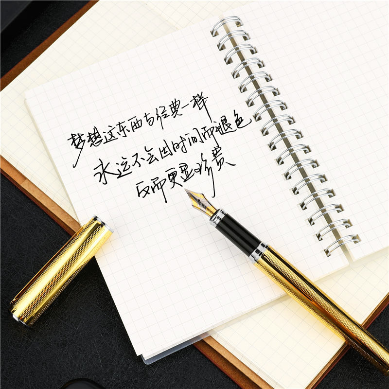 Vulpen luxury Fountain pen ink pen Nib Iraurita caneta tinteiro stationery Penna stilografica Stylo plume 03859