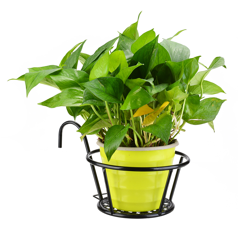Iron Hanging Plant Racks Balcony Round Flower Pot ... – Grandado