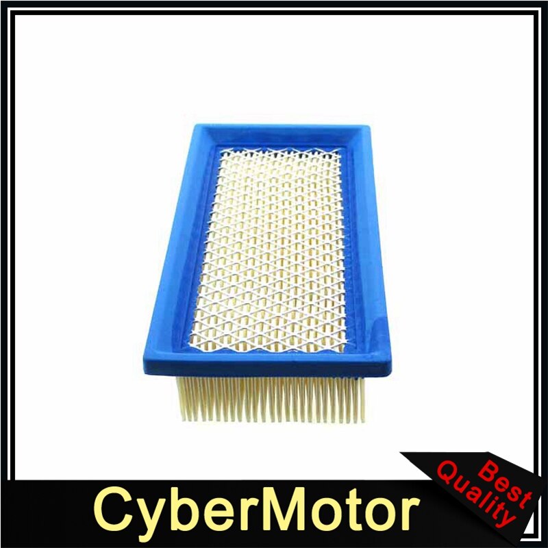 Luchtfilter Voor Briggs & Stratton 496077 691643 176400 19B400 19E400 256400 Generac 0691643 1691643 691643 John Deere AM34093