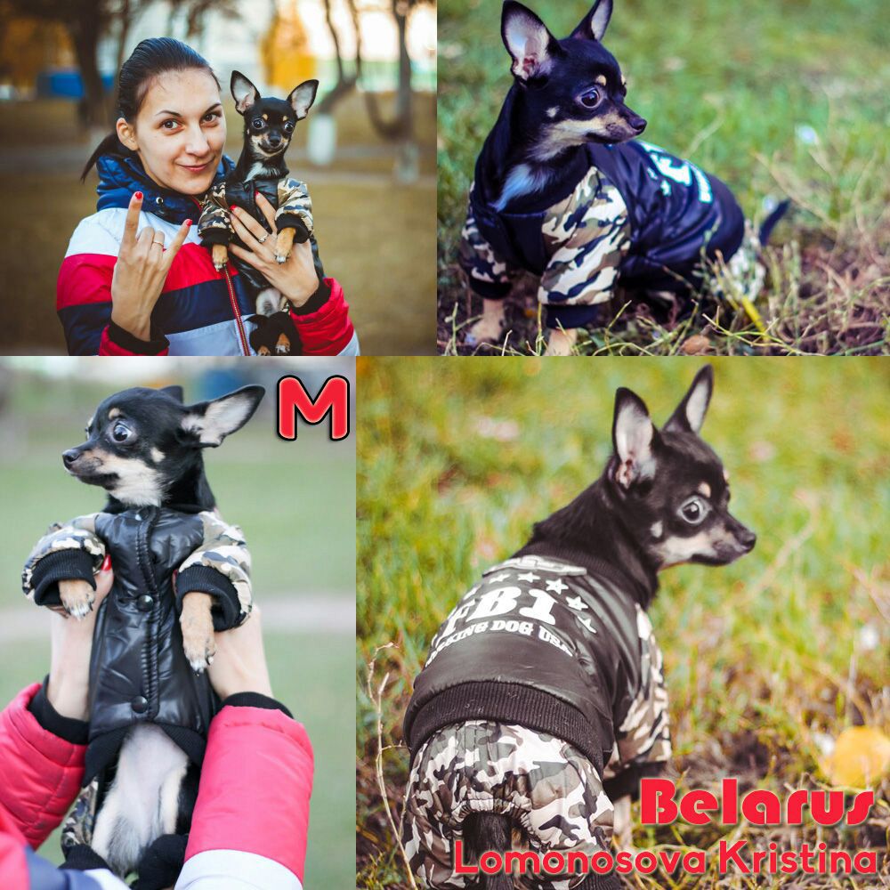 Kjæledyr hund klær frakk vinter varme yttertøy tykkere hund klær vattert jakke kjæledyr katt produkter klær til hund valp katt