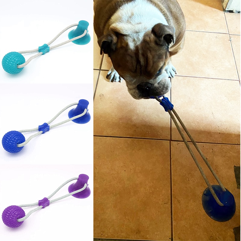 Hund interaktiv sugekop skubbe tpr bold legetøj kæledyr molar bid legetøj elastiske reb hund tand rengøring tygge kæledyr hundehvalp legetøj