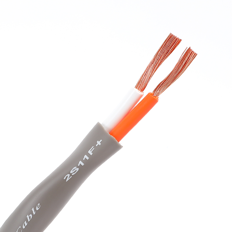 CANARE Speaker Cable 2S7F 2S9F 2S11F Super Supple 2 Core Audio Surround Oxygen Free Copper KTV stage Wire For Fixed Install