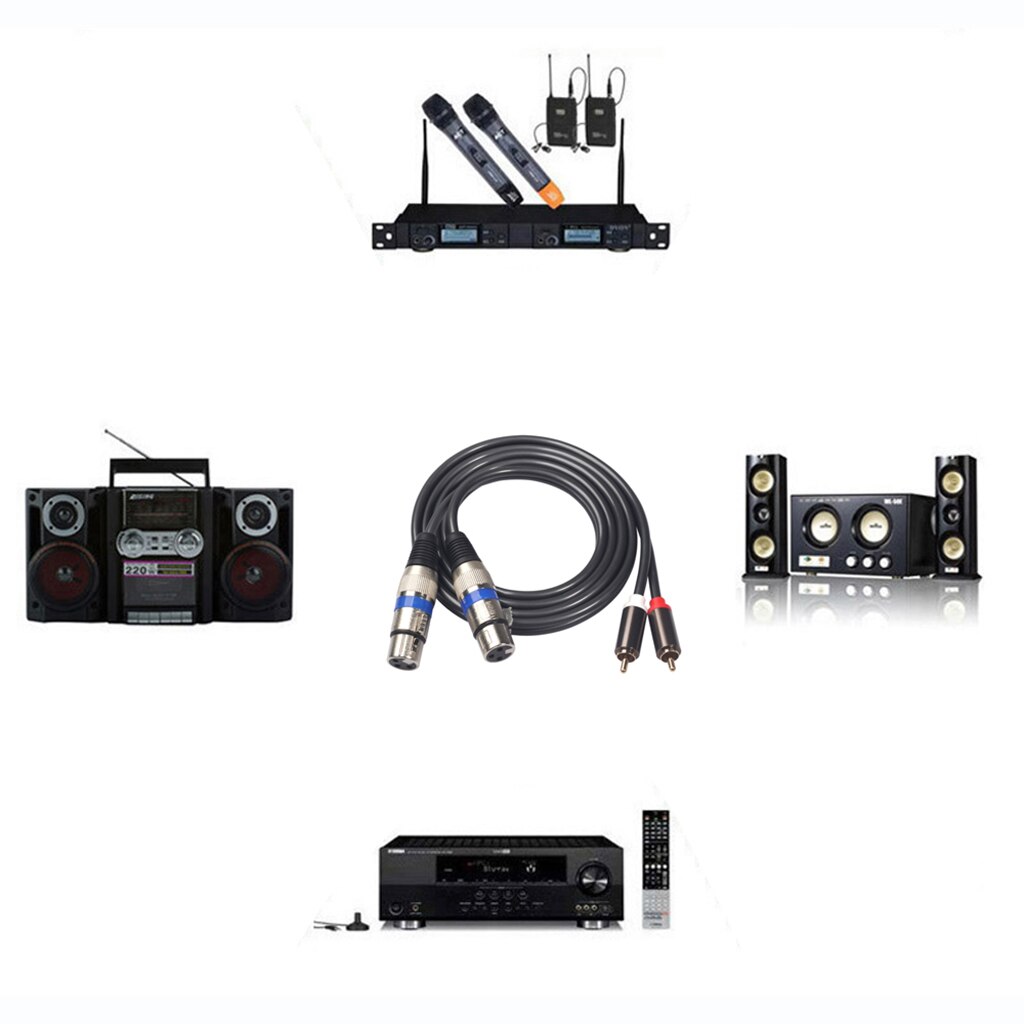 Audio Premium 5 Feet Dual XLR Female to Dual Male Patch Cable 2-XLR to 2-RCA