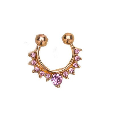 Legering Hoop Nose Ring Neus Piercing Nep Piercing Septum Clicker Nummers Hanger Voor Vrouwen Lichaam Sieraden: E