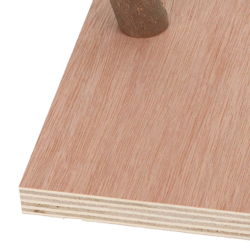 Suelo de juego para loros, para masticar, garras seguras, soporte de juego para pájaros, libre de tóxicos con Base para periquito para cacatúa